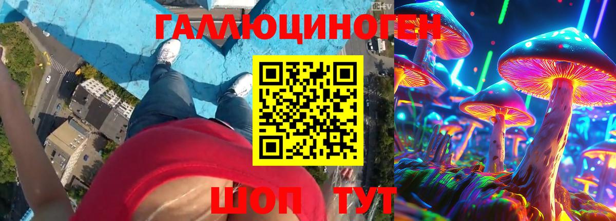 Биробиджан  Псилоцибиновые грибы GOLDEN TEACHER  Галлюциногенные грибы Cubensis  Вход с VPN 